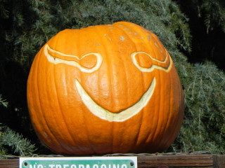 Polywog Eye, Nipomo Pumpkin Patch best carving idea